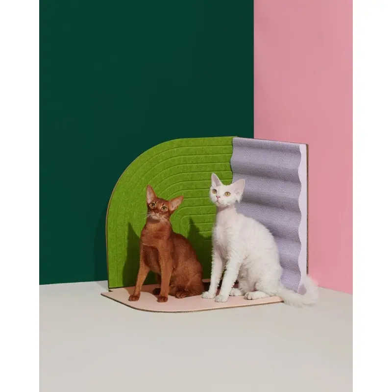 3-Dimensional Cat Scratcher