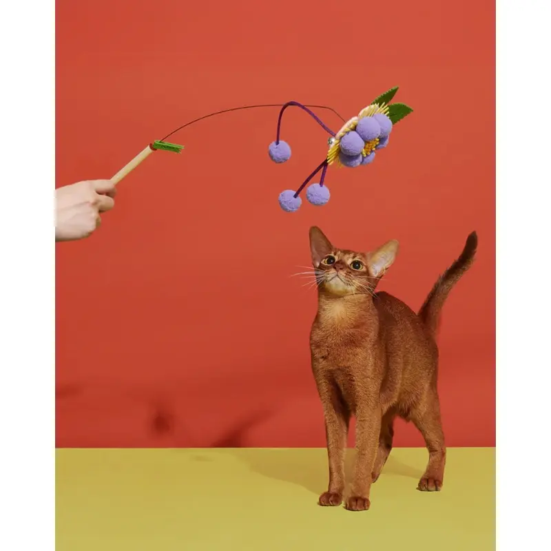Blooming Cat Teaser Toy