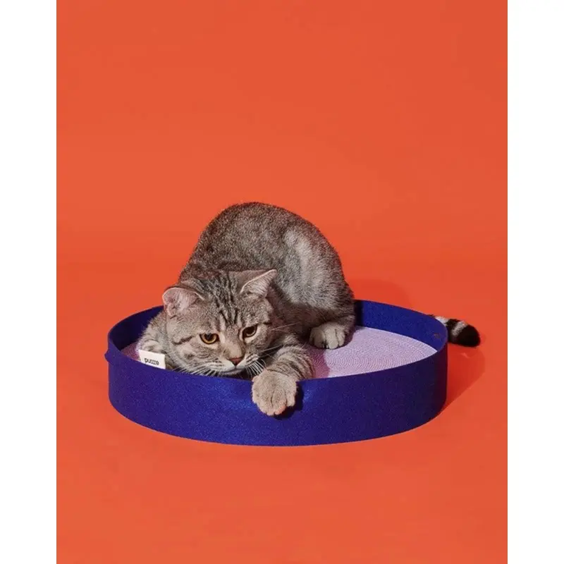Colorful Round Cat Scratcher