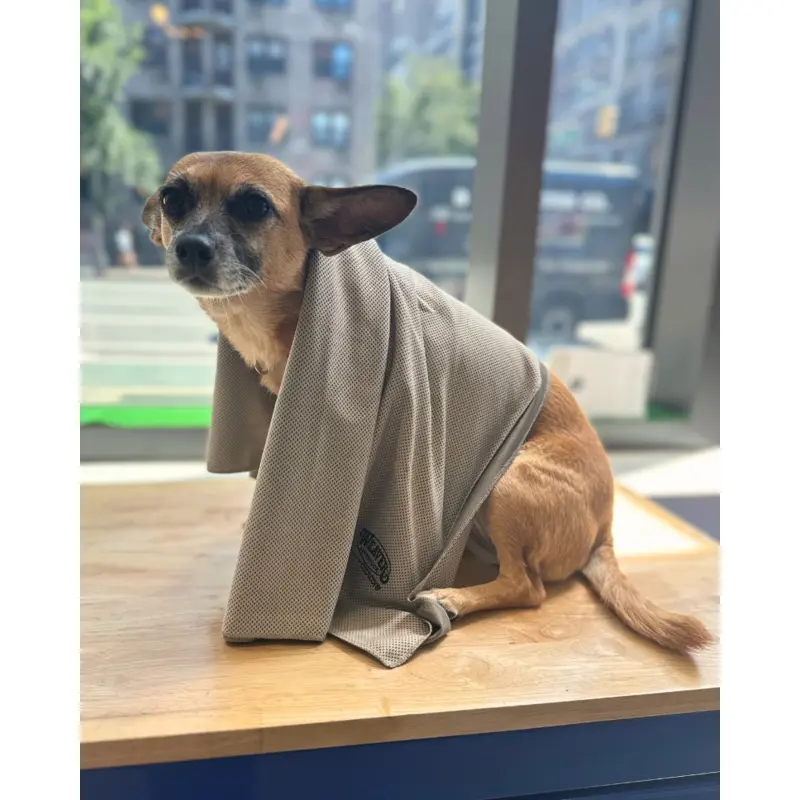 Cooling Dog Towel (24"x36") (FINAL SALE)