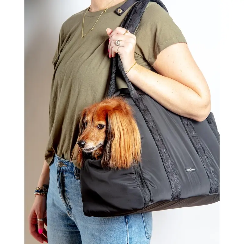 Everywhere Convertible Tote Bag Pet Carrier
