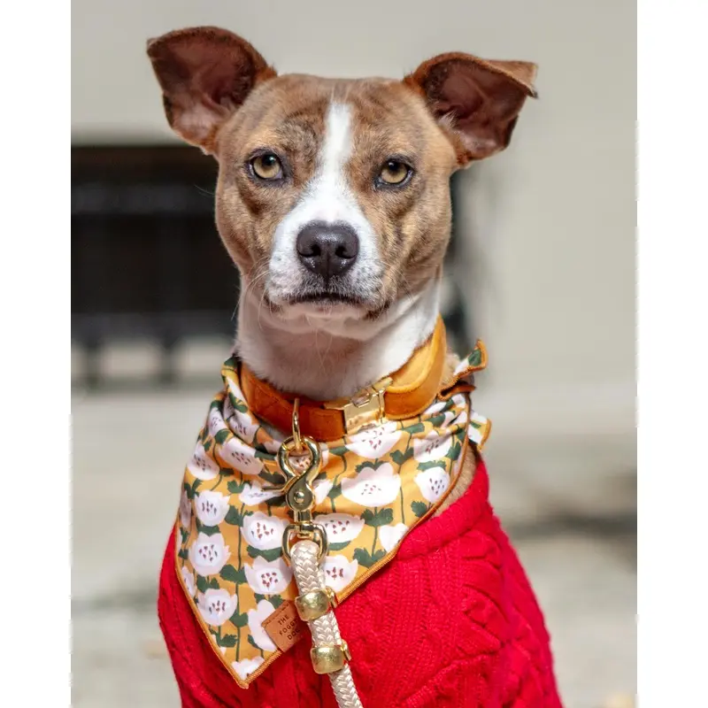 Goldenflowers Dog Bandana (Made in the USA) )(FINAL SALE)