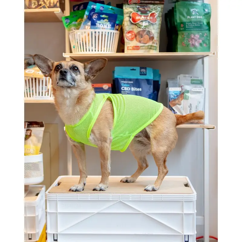 Neon Mesh Dog Tank Top (CLEARANCE)
