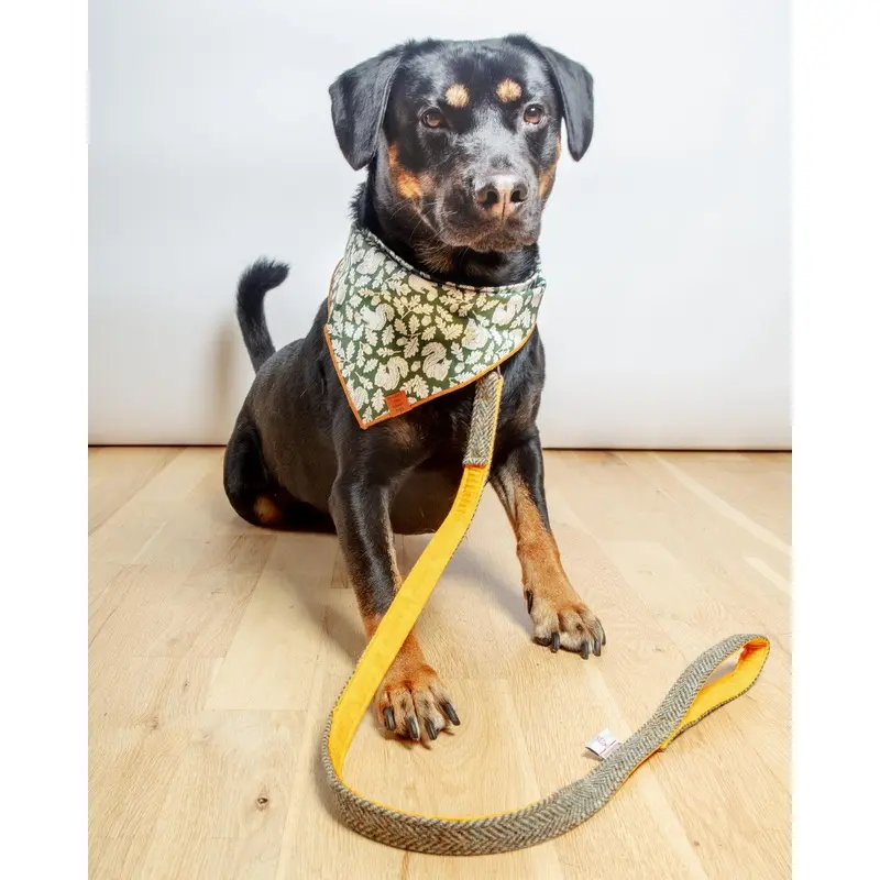 Eriskay Harris Tweed Dog Lead