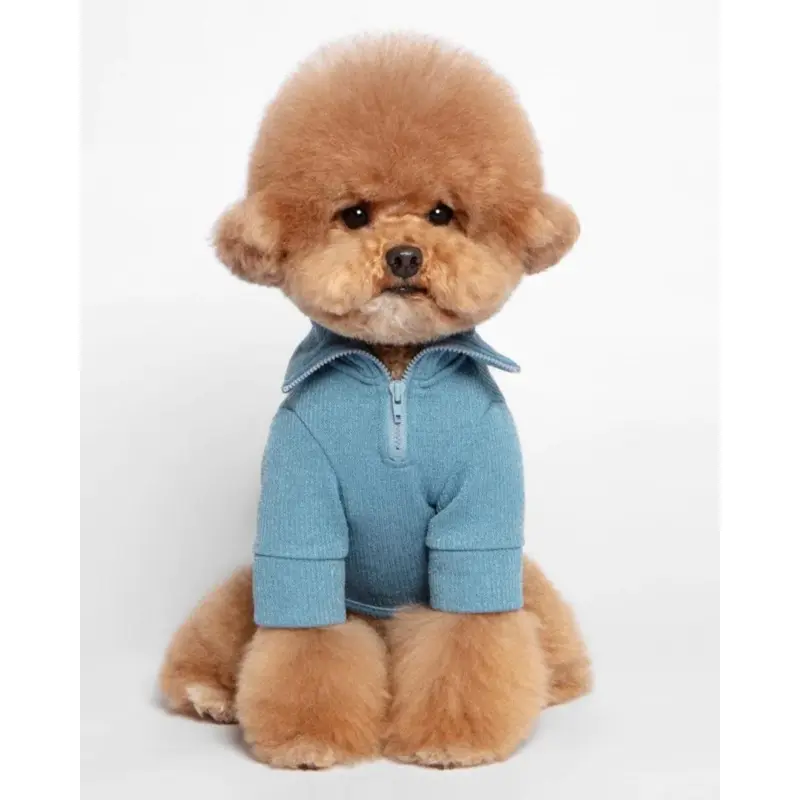 Foldover Half-Zip Dog Knit Sweater (FINAL SALE)