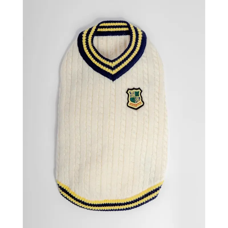 Prep School V-Neck Dog Sweater