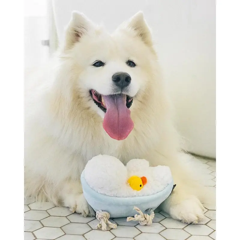 Rub-A-Dub-Tub Squeaky Plush Dog Toy
