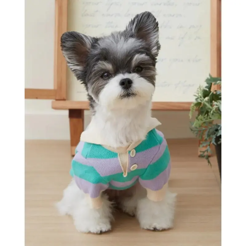 Striped Rugby Knit Dog Sweater (FINAL SALE)