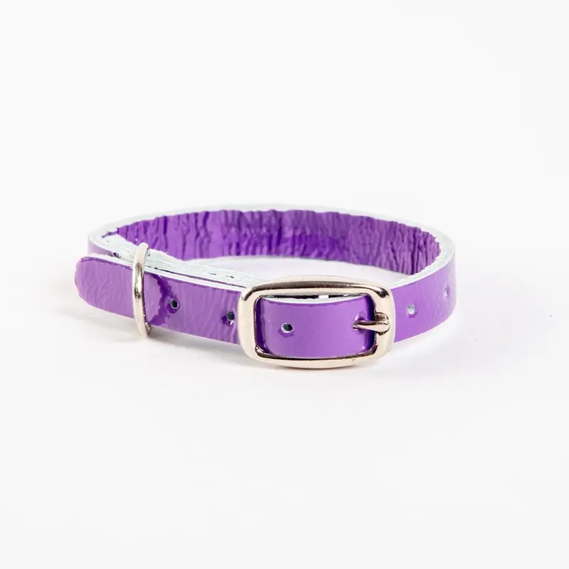 The Cleo Leather Tag Collar in Purple Patent (DOG & CO. Exclusive)