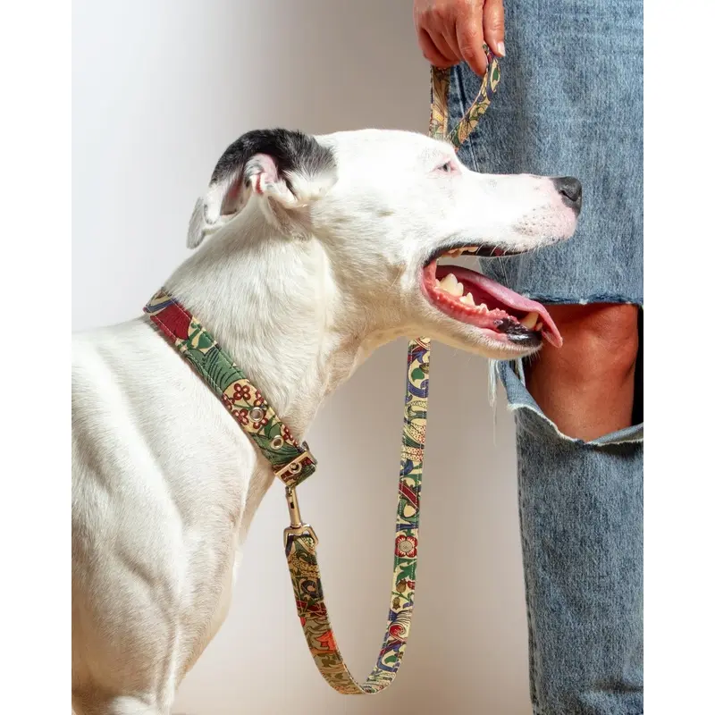 William Morris Golden Lily Print Dog Lead