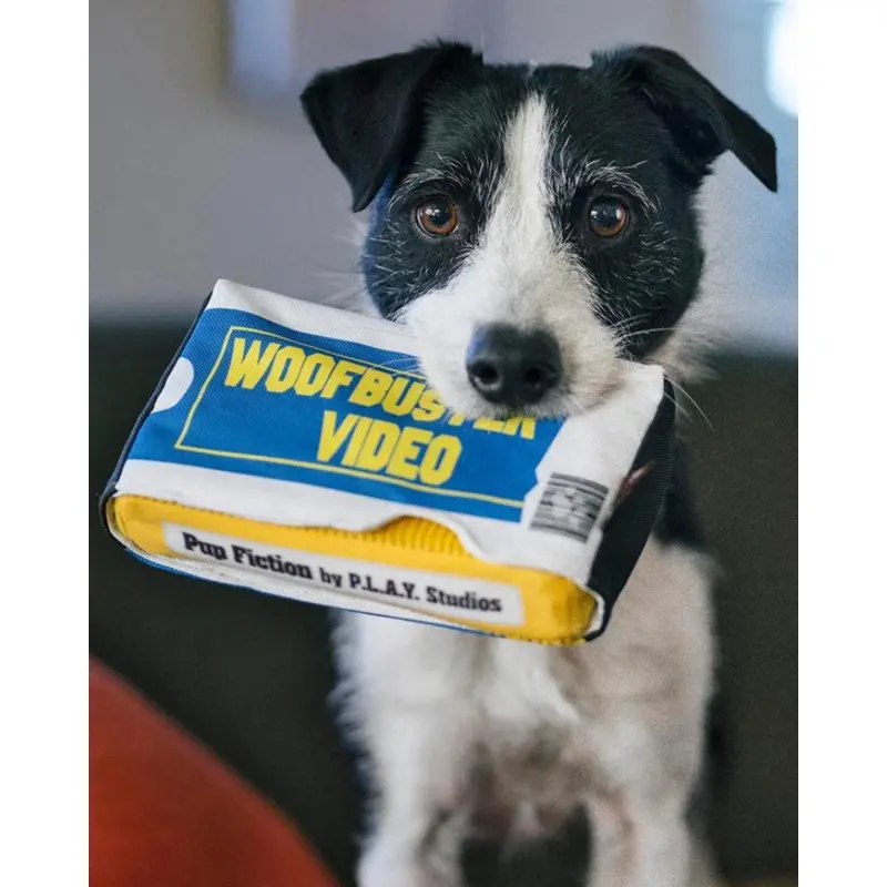 Woofbuster Video Squeaky Plush Dog Toy
