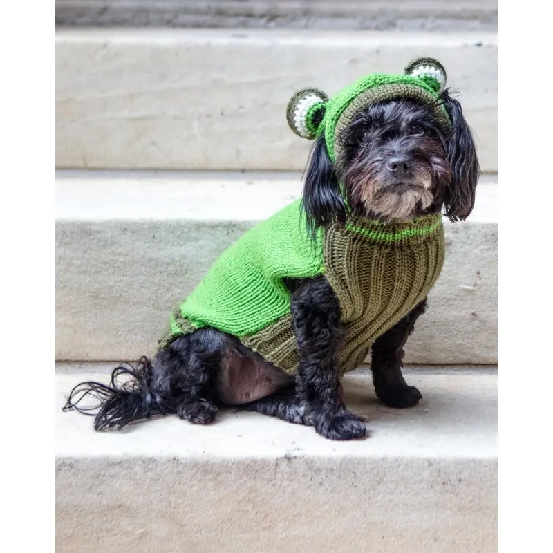 Froggy Doggy Handknit Dog Sweater w/ Hood
