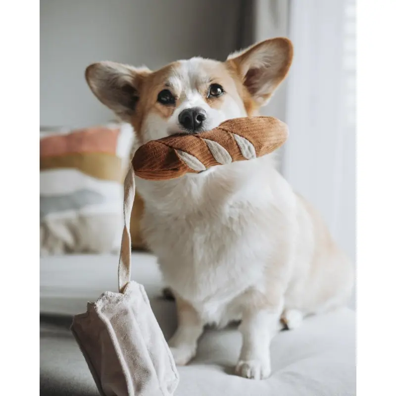 Mini Baguette Nosework Squeaky Dog Toy
