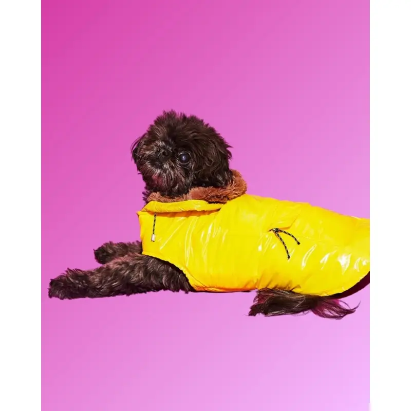 Shiny Puffer Dog Jacket w/ Faux Fur Hood (Made in the USA) (FINAL SALE)