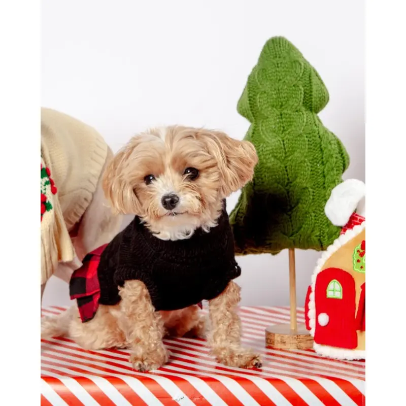Turtleneck Sweater Dress for Dogs
