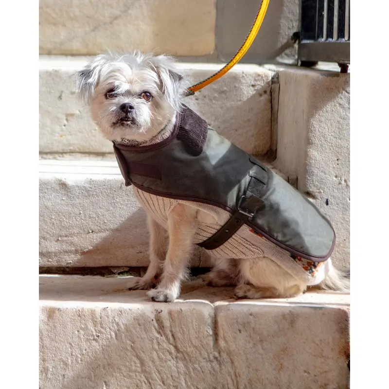 Wax Cotton All Weather Dog Jacket in Olive Green
