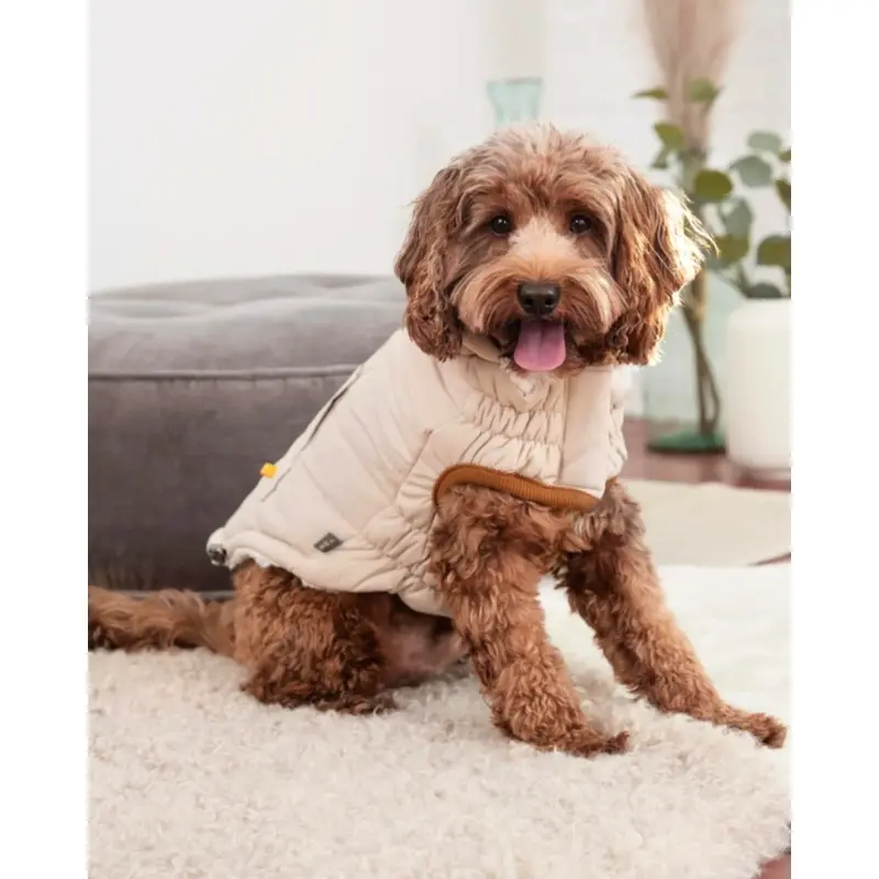 Arctic Dog Parka in Sand