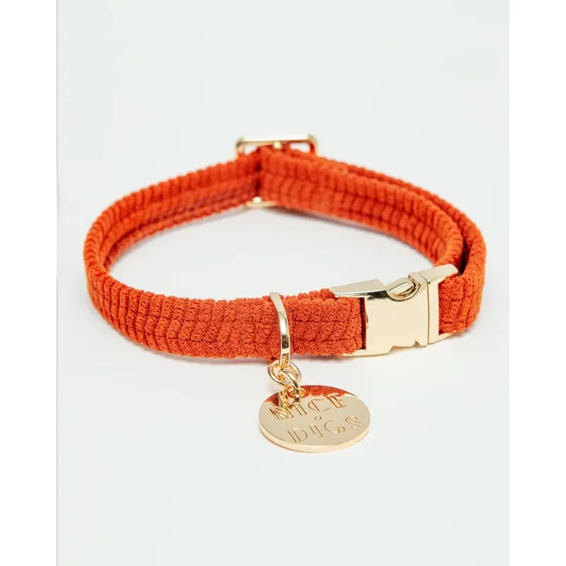 Cord Dog Collar in Rust (FINAL SALE)