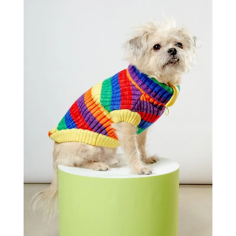 Over The Rainbow Dog Sweater (FINAL SALE)