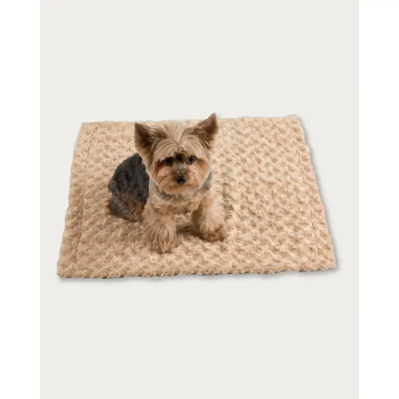 Small Cuddle Minky Blanket in Camel (Made in the USA)