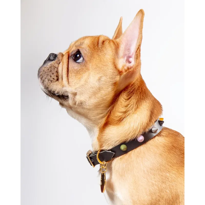 Smooth Spike Dog Collar in Rocky Noir (FINAL SALE)