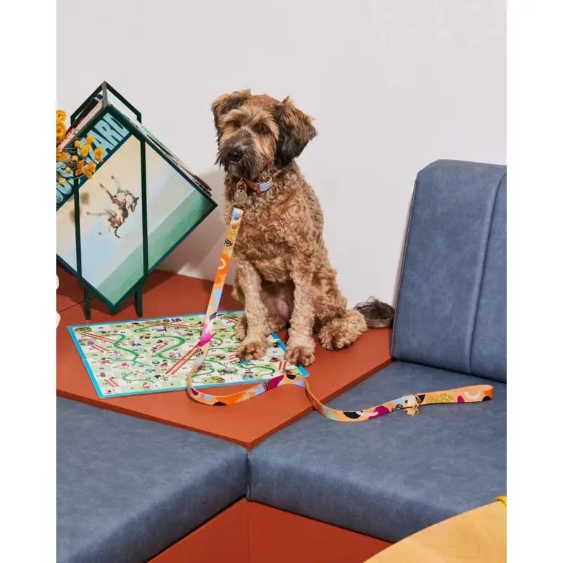 Snakes & Ladders Leather Dog Leash