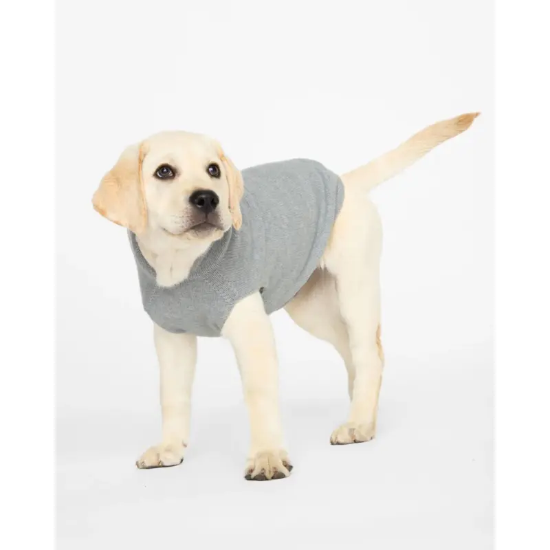 The Cashmere Dog Hoodie Dog & Co x Brochu Walker Exclusive