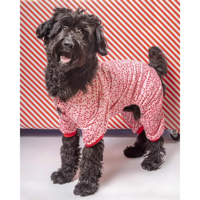 Candy Cane Dog Pajamas