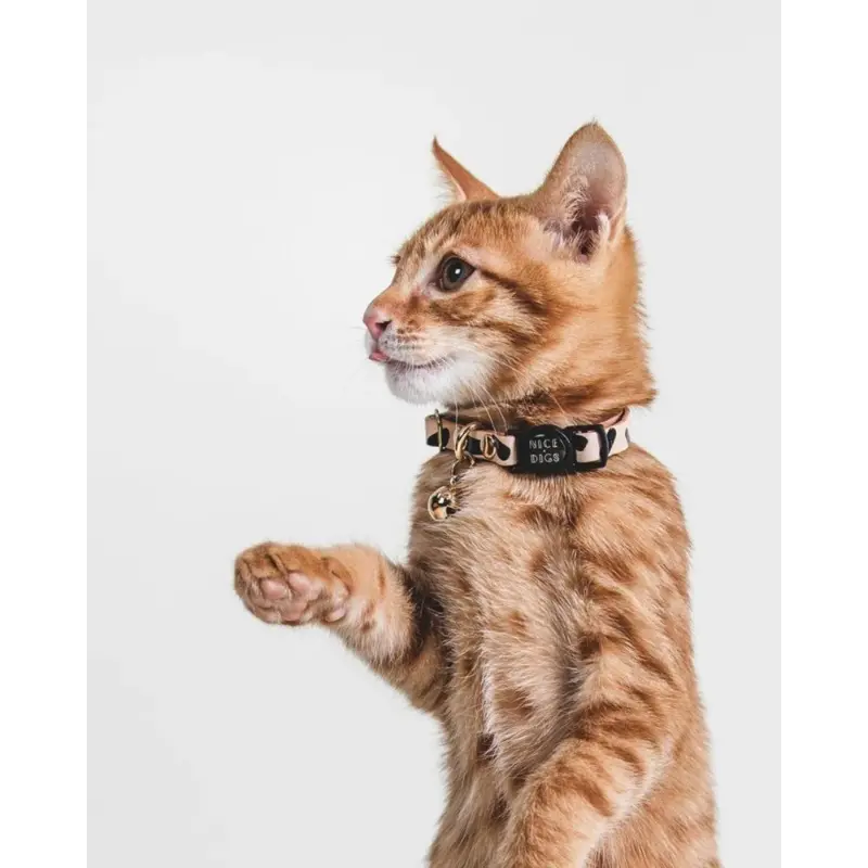 Tiggy Leather Cat Collar in Black