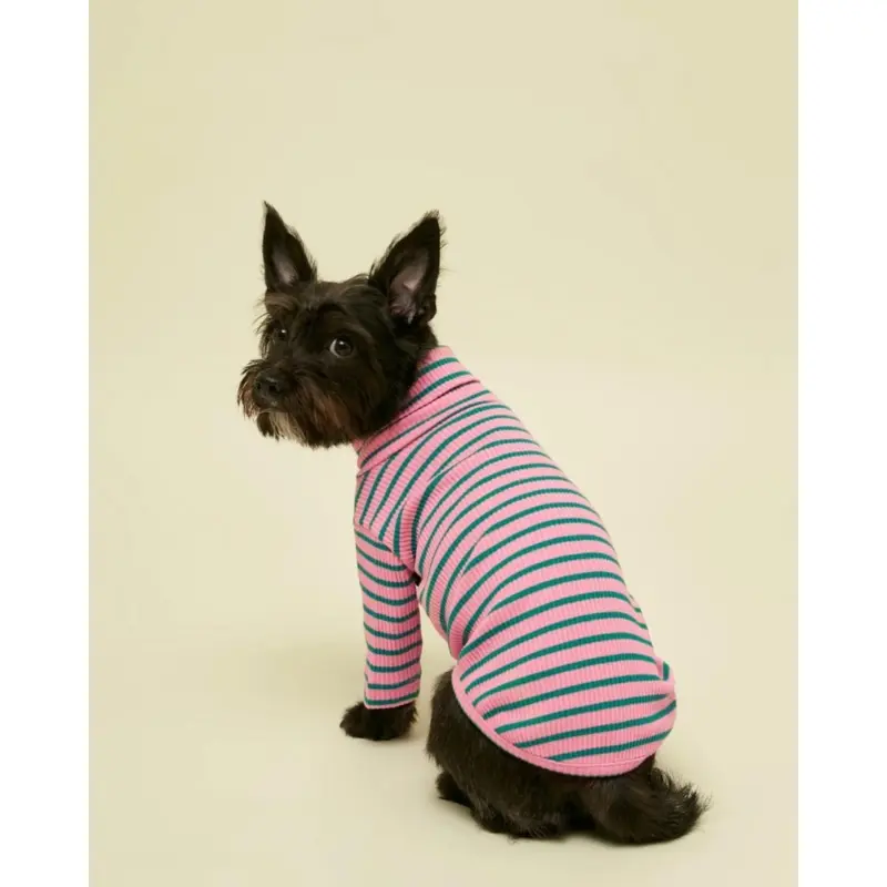 College Dropout Ribbed Dog Pullover