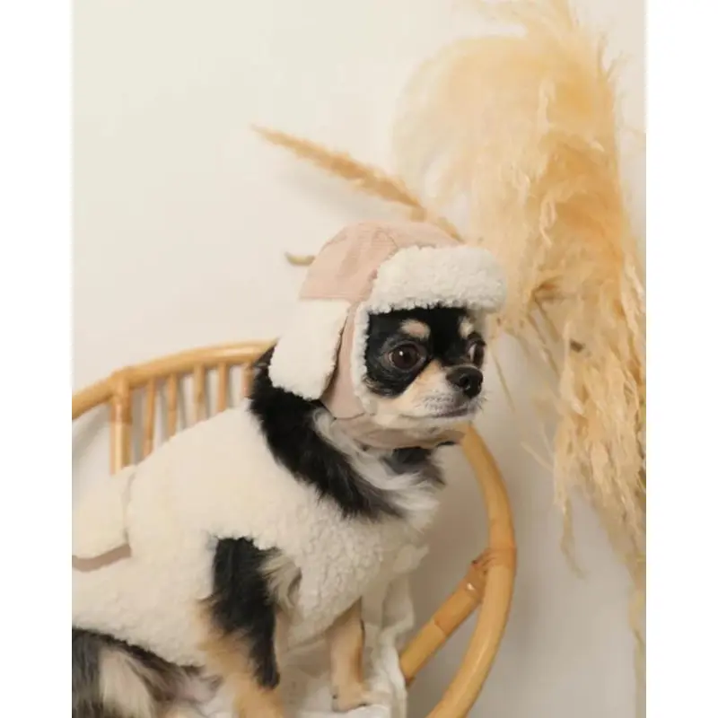 Corduroy Pet Flight Cap