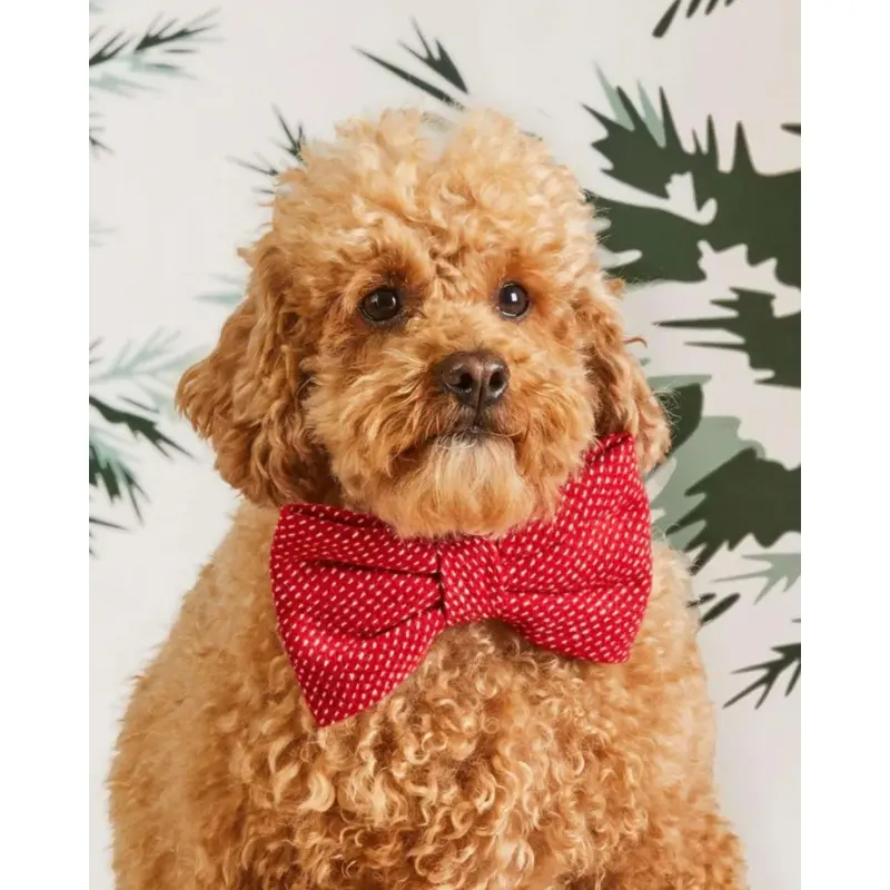 Berry Stitch Dog Bow Tie (Made in the USA)