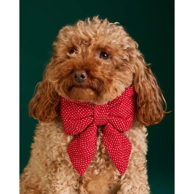 Berry Stitch Dog Lady Bow (Made in the USA)