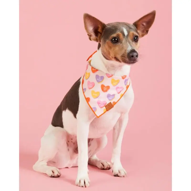 Candy Hearts Dog Bandana (Made in the USA) (FINAL SALE)