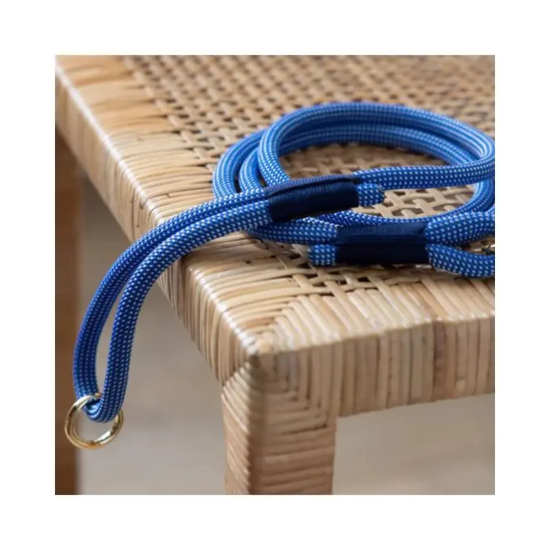 Climbing Rope Leash in Lagoon (Made in the USA)