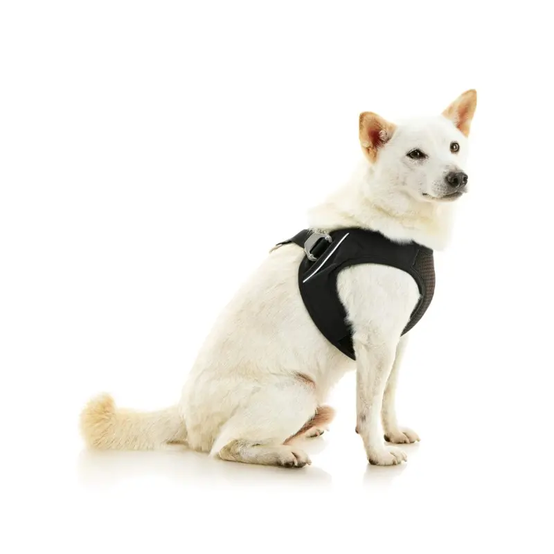 Escape-Free Easy Fit Plus Dog Harness