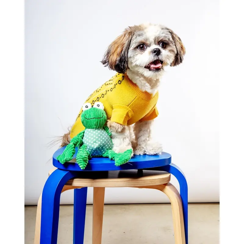 Fergie Frog Knottie Dog Plush Toy