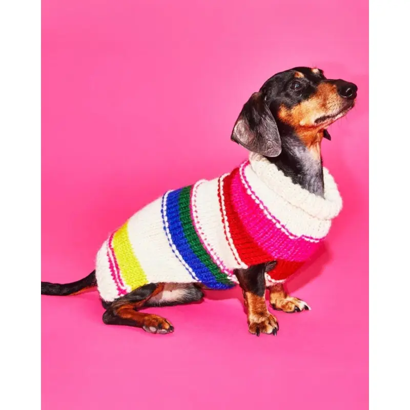 Neon Stripe Wool Dog Sweater (FINAL SALE)