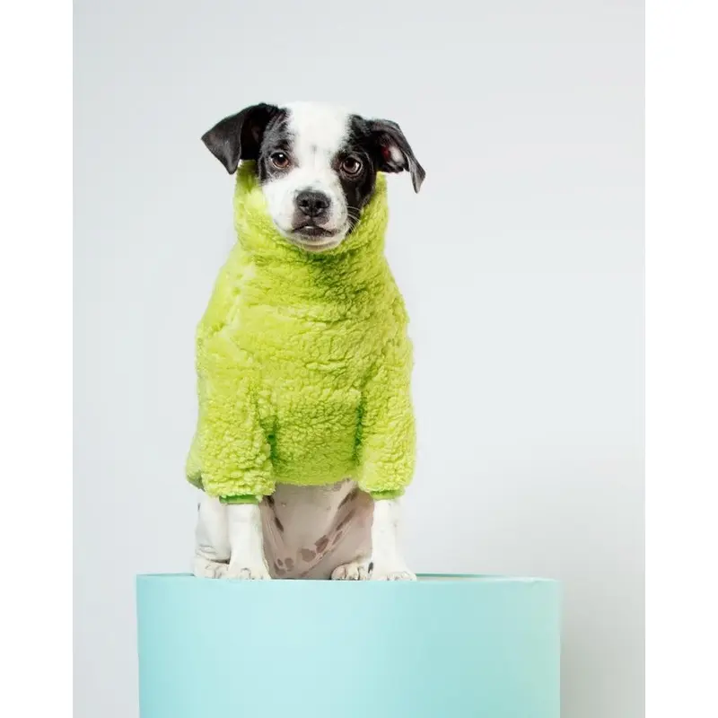 The Highlighter Fleece Sweatshirt (FINAL SALE)
