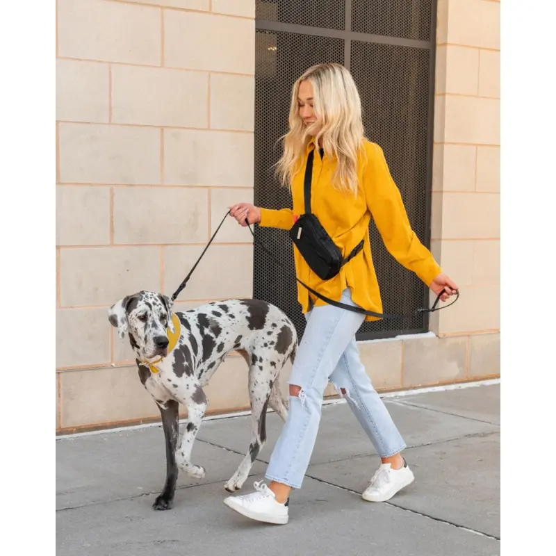Doggy Dash Pack Bag