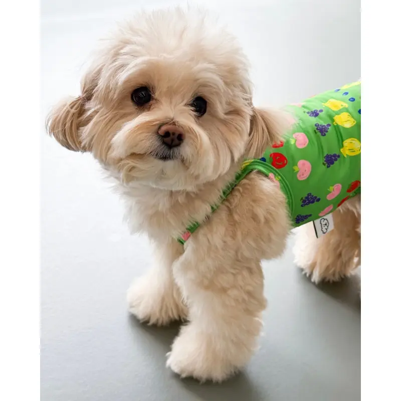 Fruit Juice Dog Cooling Tank (FINAL SALE)