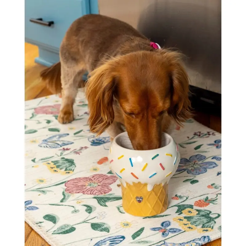 I Scream for Ice Cream Elevated Pet Food Bowl (FINAL SALE)
