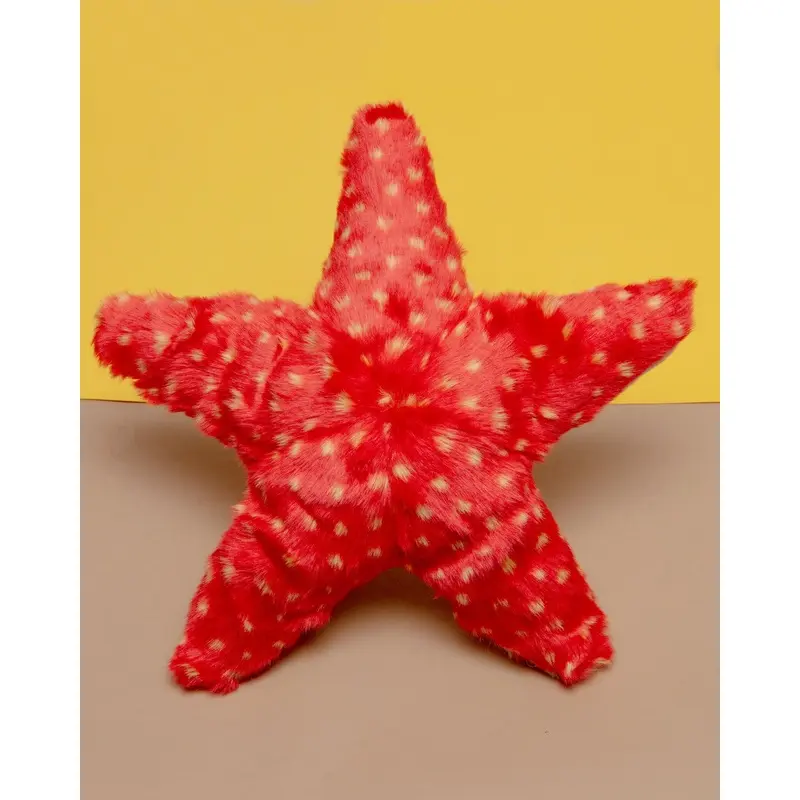 Ziggy Starfish Plush Dog Toy