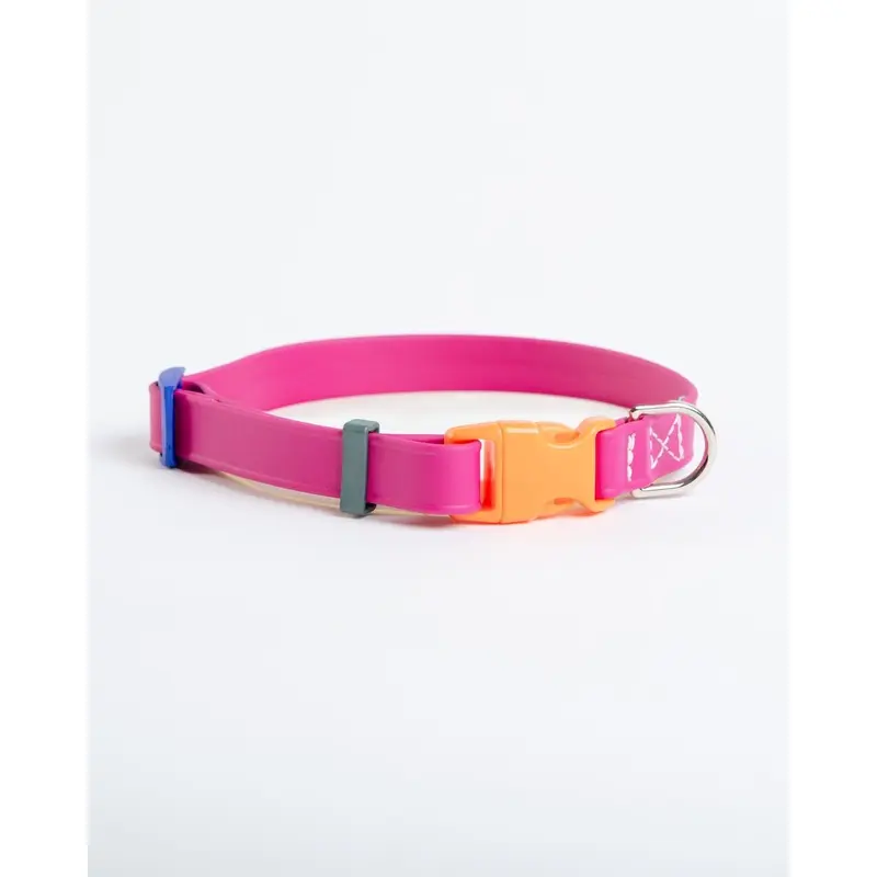 A Walk in the Park Dog Collar in Magenta Pink (Made in the USA)