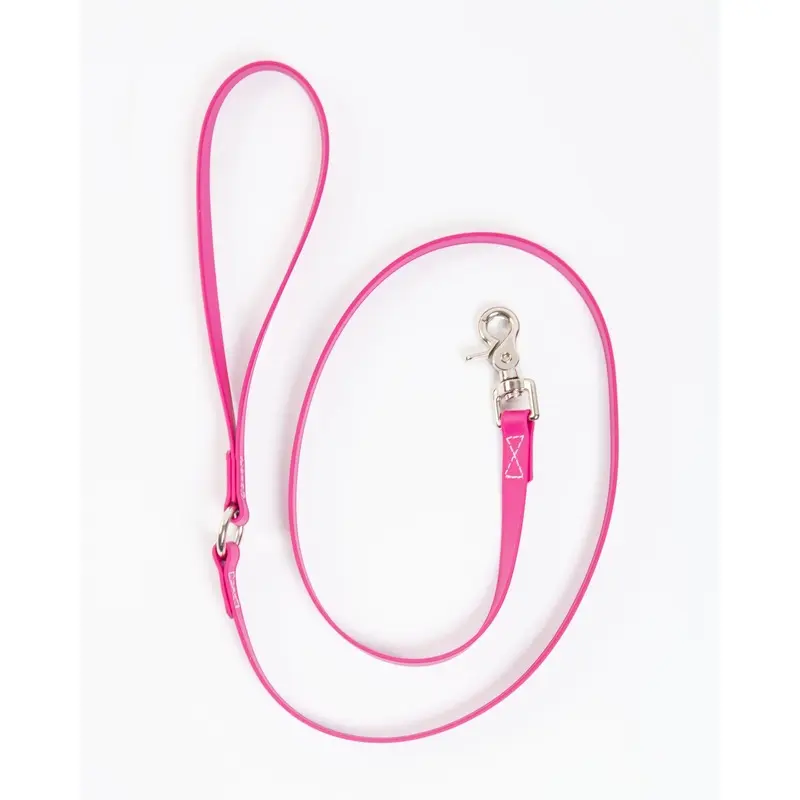 A Walk in the Park Dog Leash in Magenta Pink (Made in the USA)