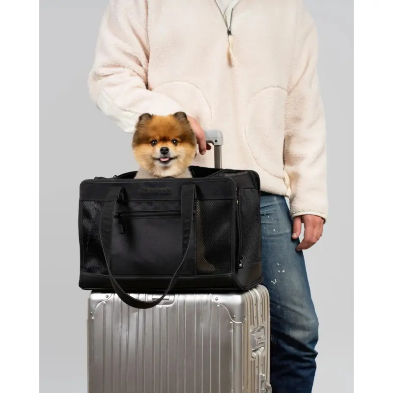 City to Sky Pet Travel Carrier