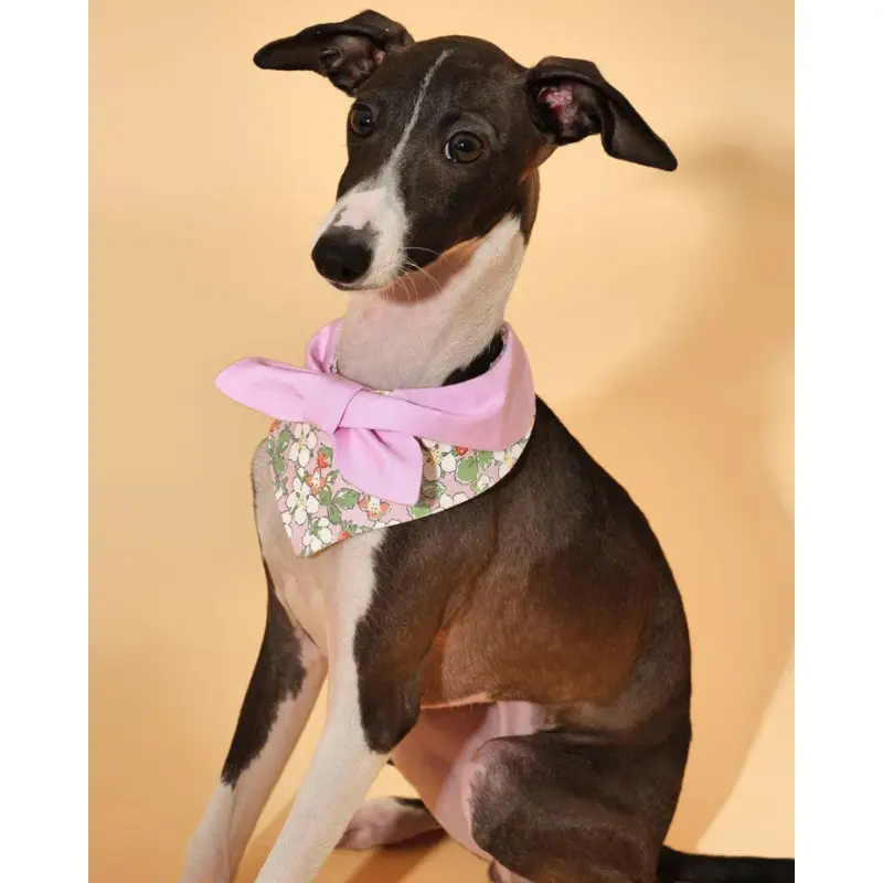 Garden Pink Bloom Dog Bandana (FINAL SALE)