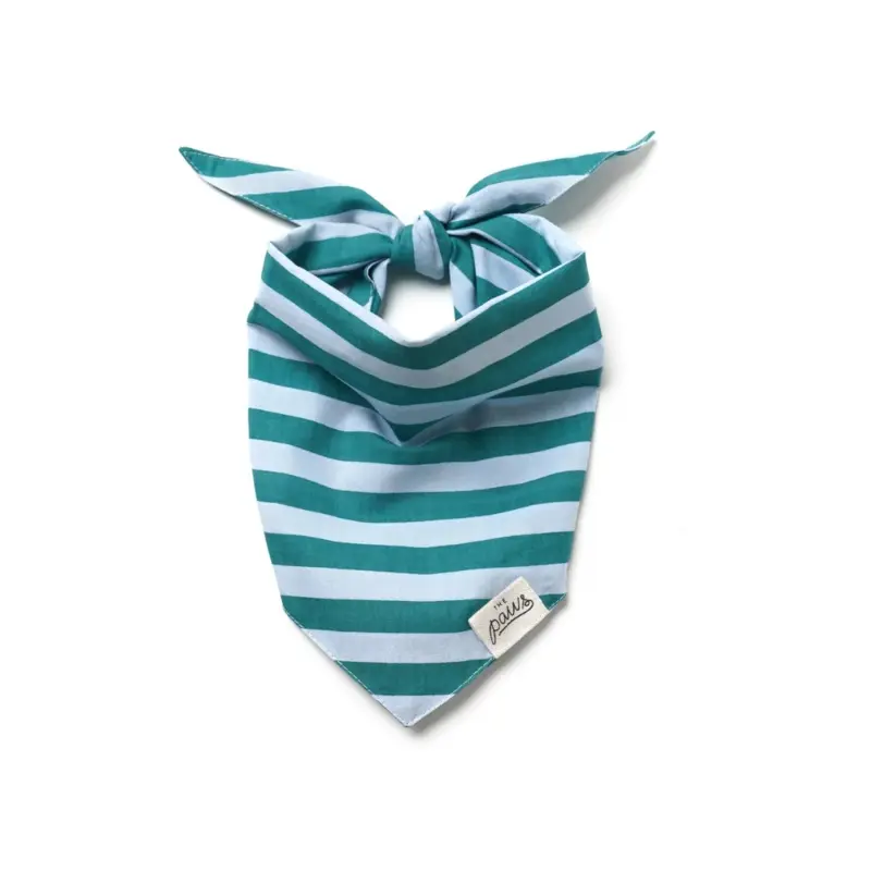 Gili Striped Dog Bandana