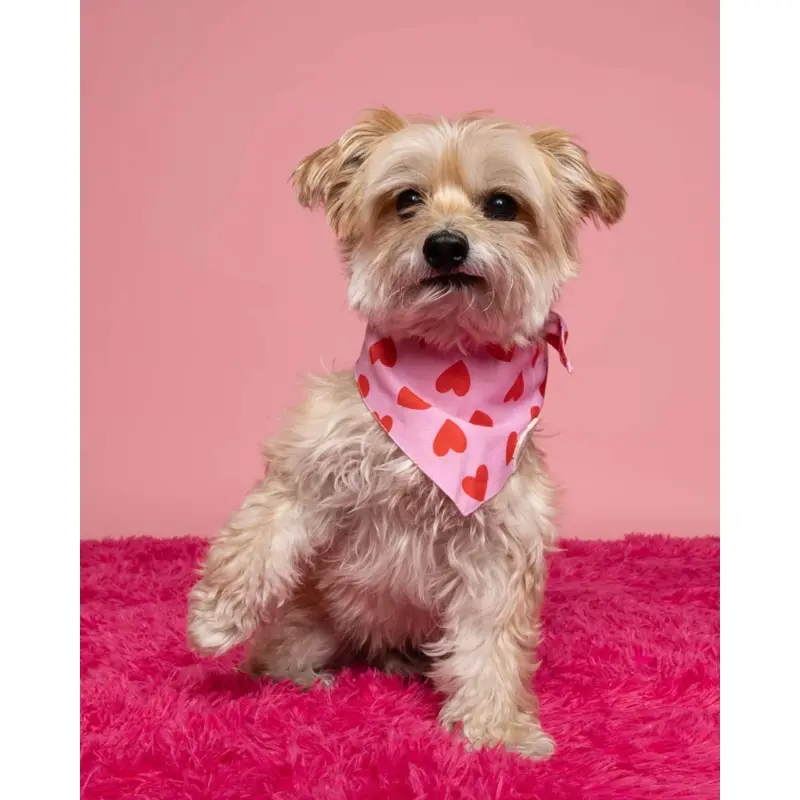 Lovesong Heart Dog Bandana
