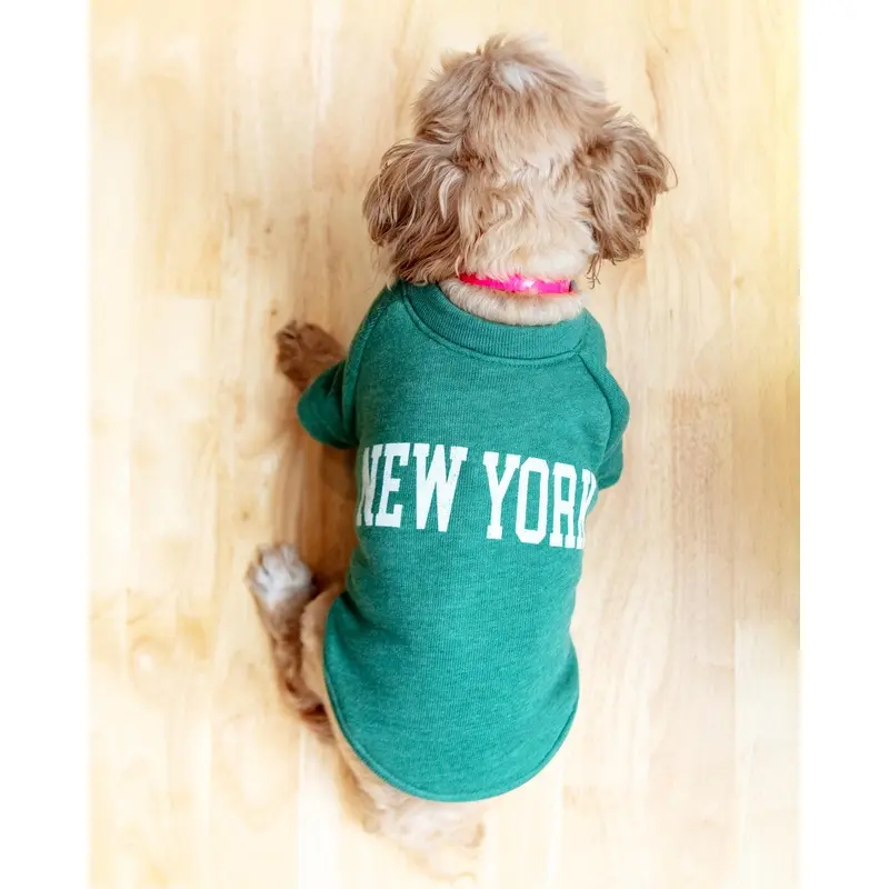 New York Dog Sweatshirt in Forest Heather